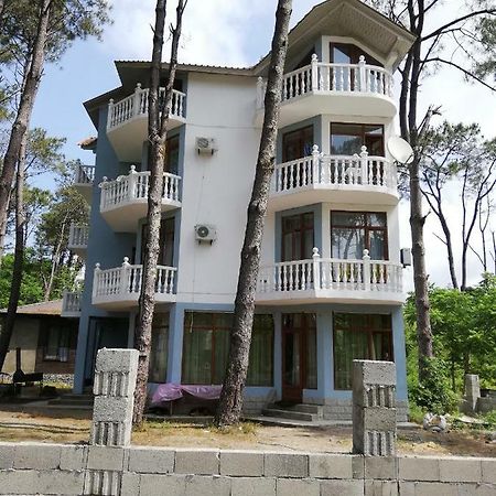 Hotel Shekvetili Shekhvetili Exteriör bild
